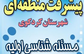 پیشرفت منطقه ای شهرستان کردکوی/ مسئله شناسی اولیه روستای سالیکنده